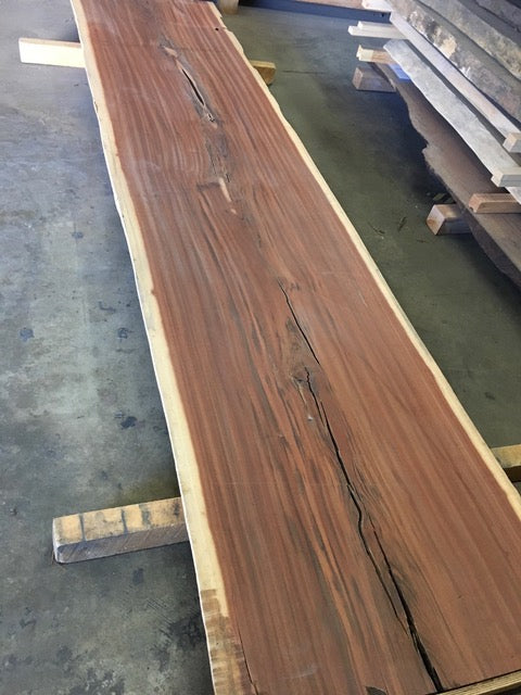 Tigerwood live edge slab 2