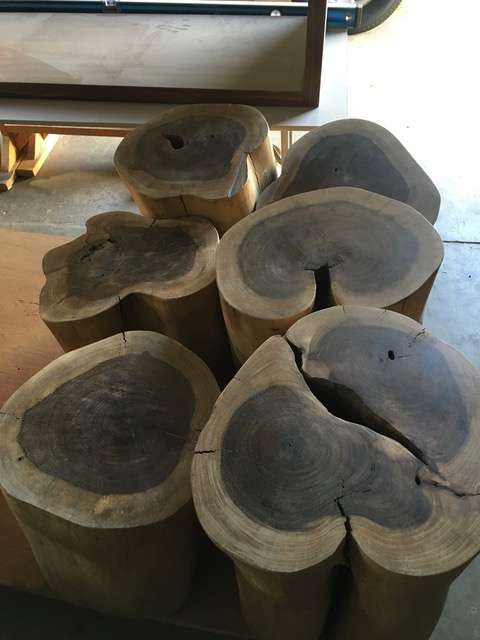 ROSEWOOD Amazon Brazil stumps