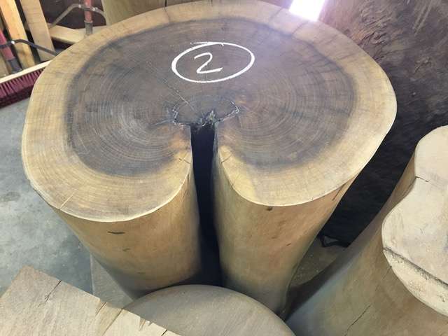 ROSEWOOD, Amazon Brazil stump