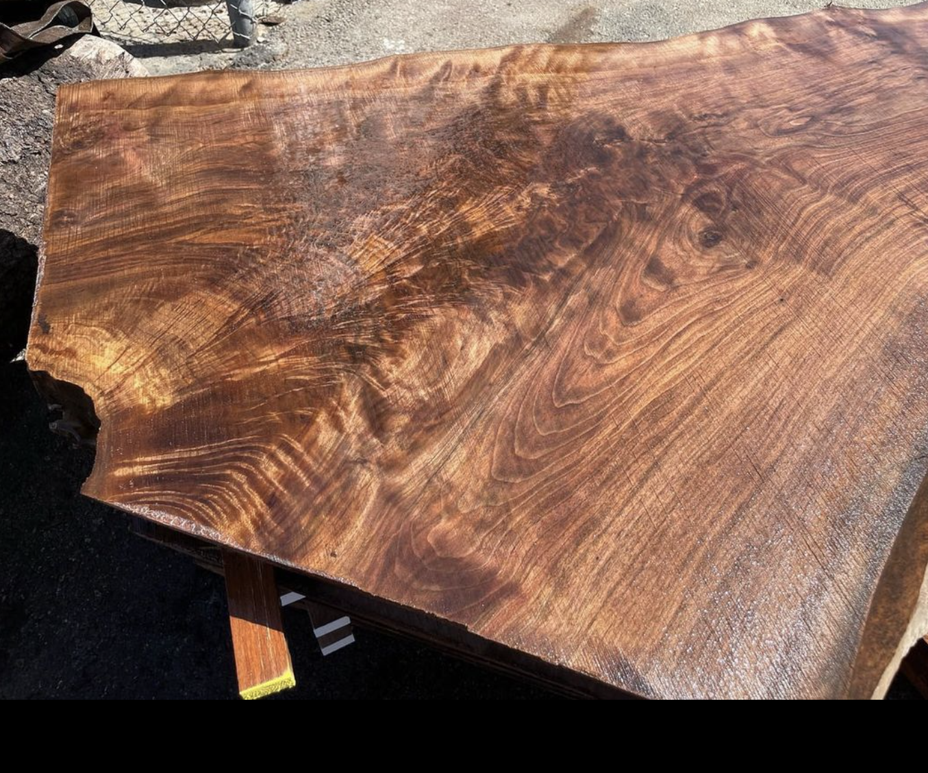 WALNUT slab